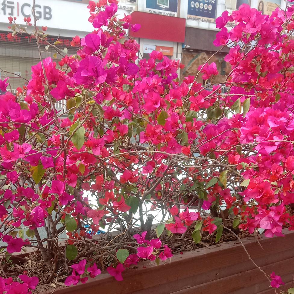 人生就是一曲戏《拒绝私聊与连赞》