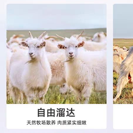 阿尔巴斯山羊肉