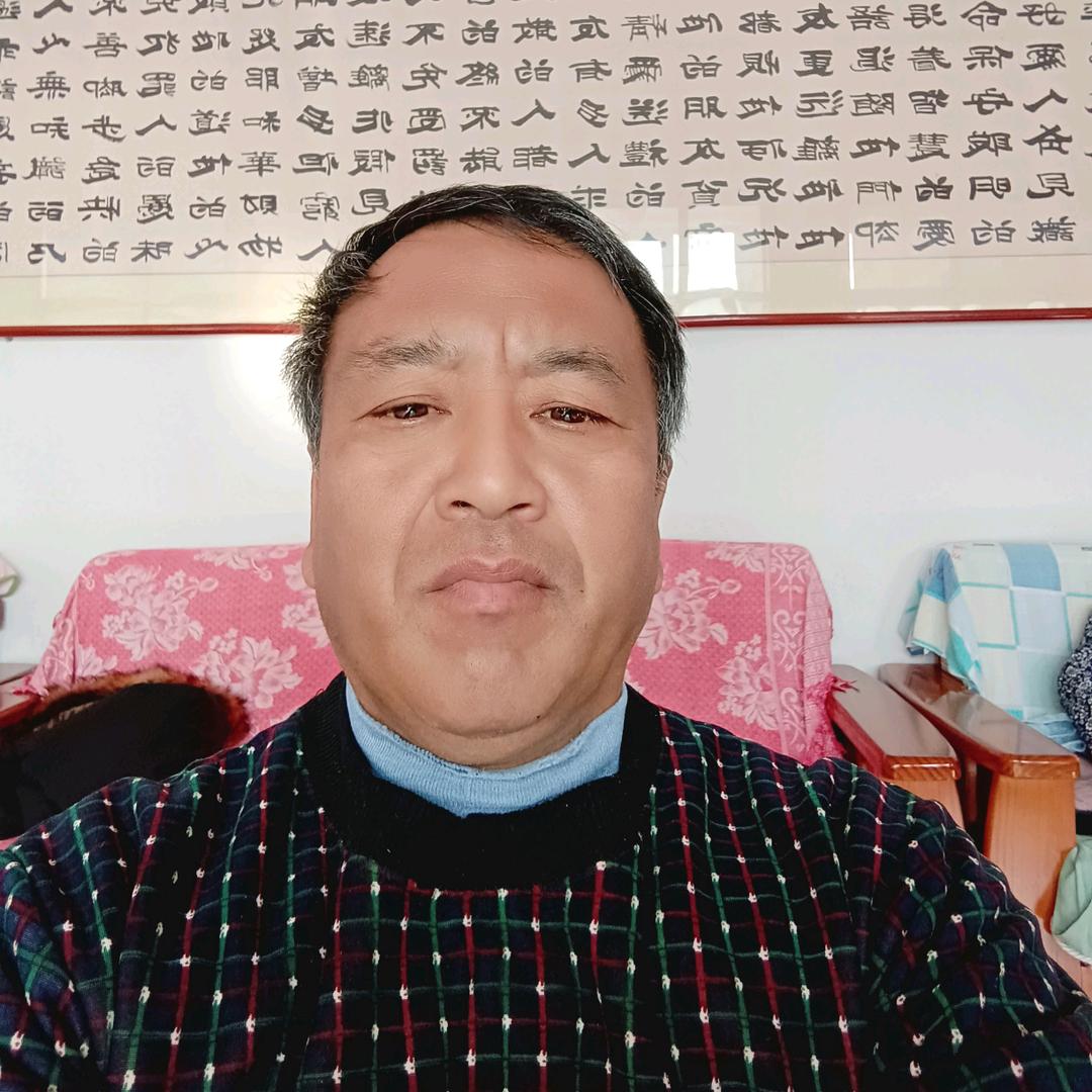 香柏树