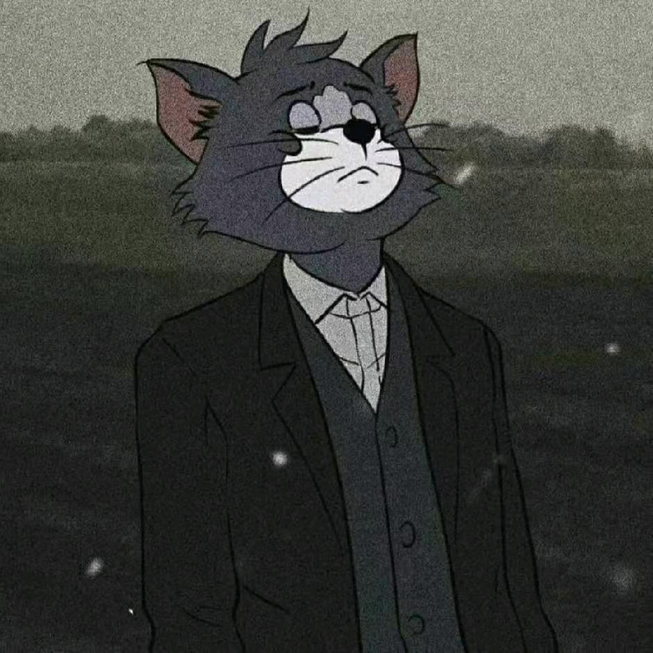 蓝猫哒