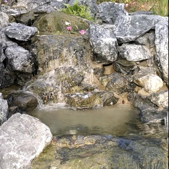 爆米花🍿ヾ^_^♪