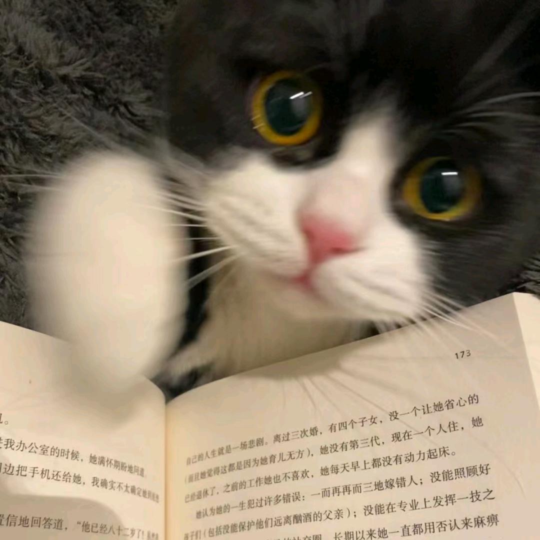 Coiiisini