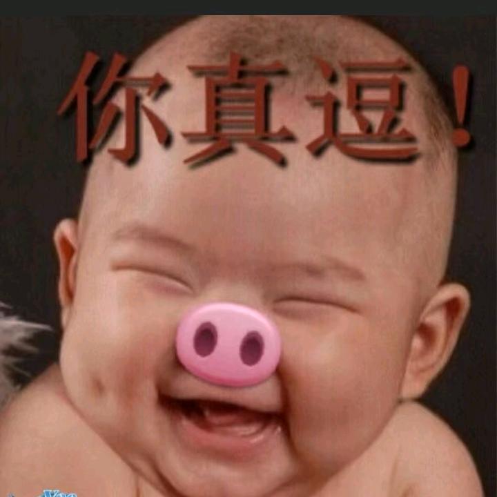 冲动的惩罚