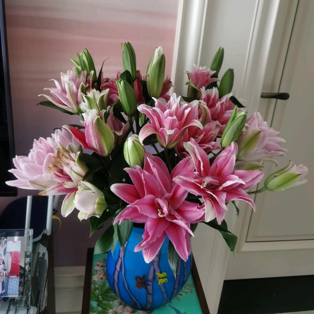 潇潇
