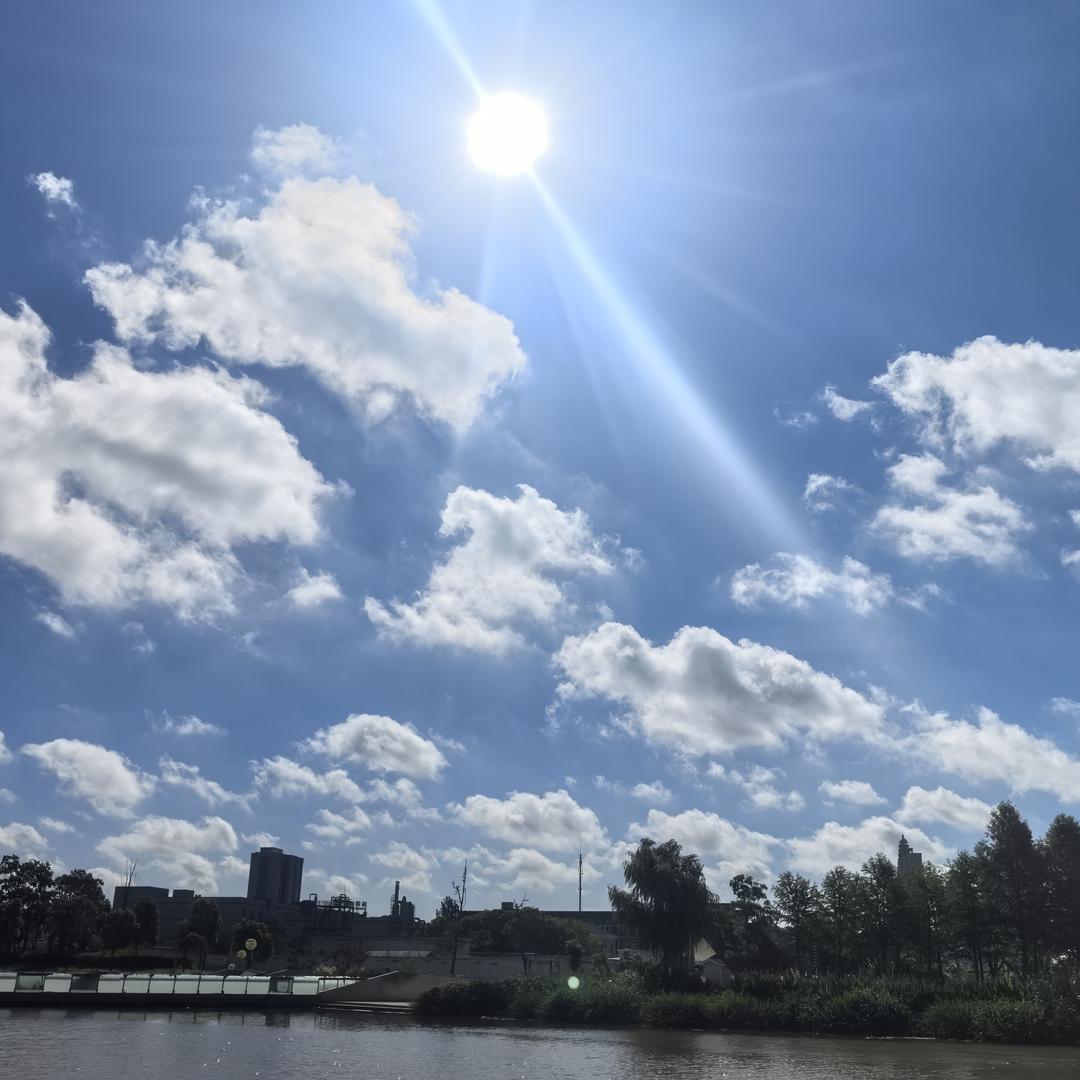 绿洲花园的追忆