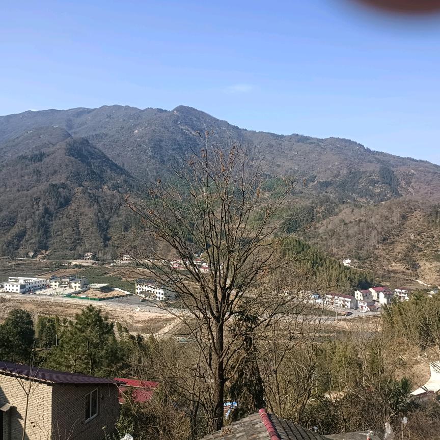 熵减