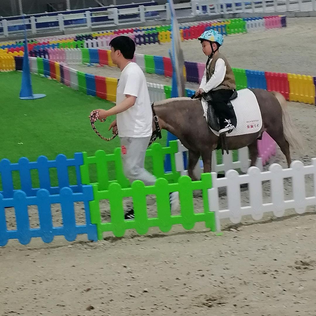 陈，