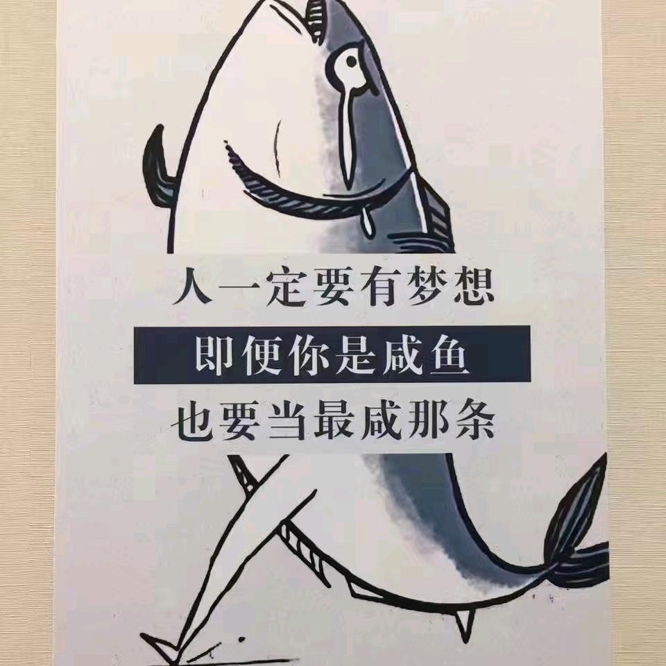 思想哥
