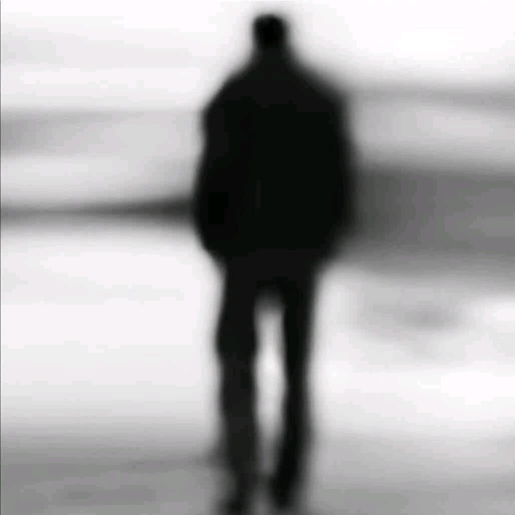 庄不像