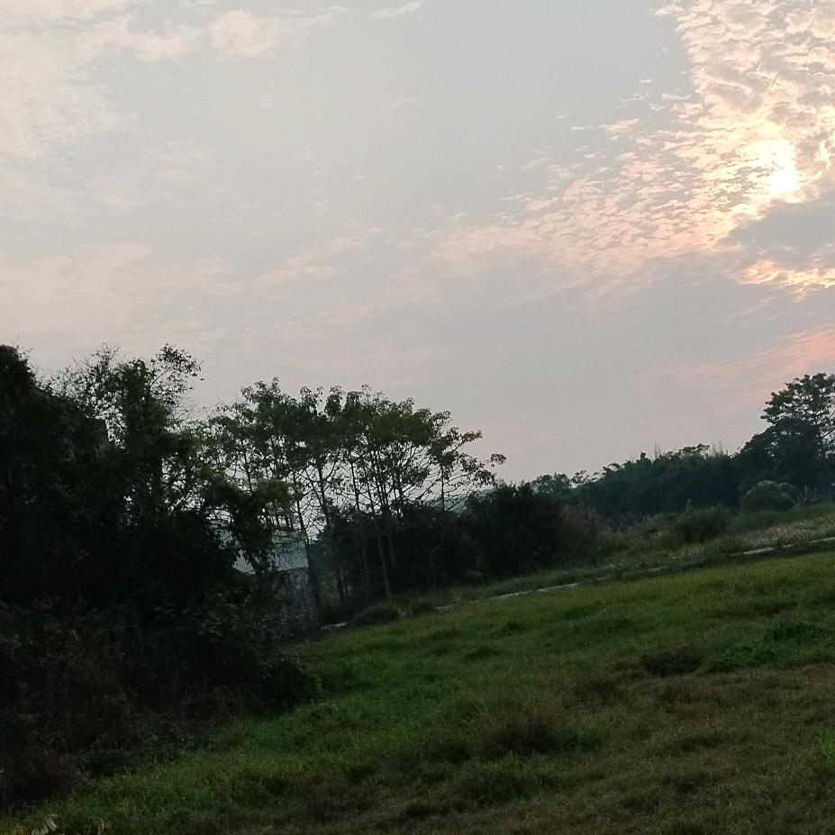 思念