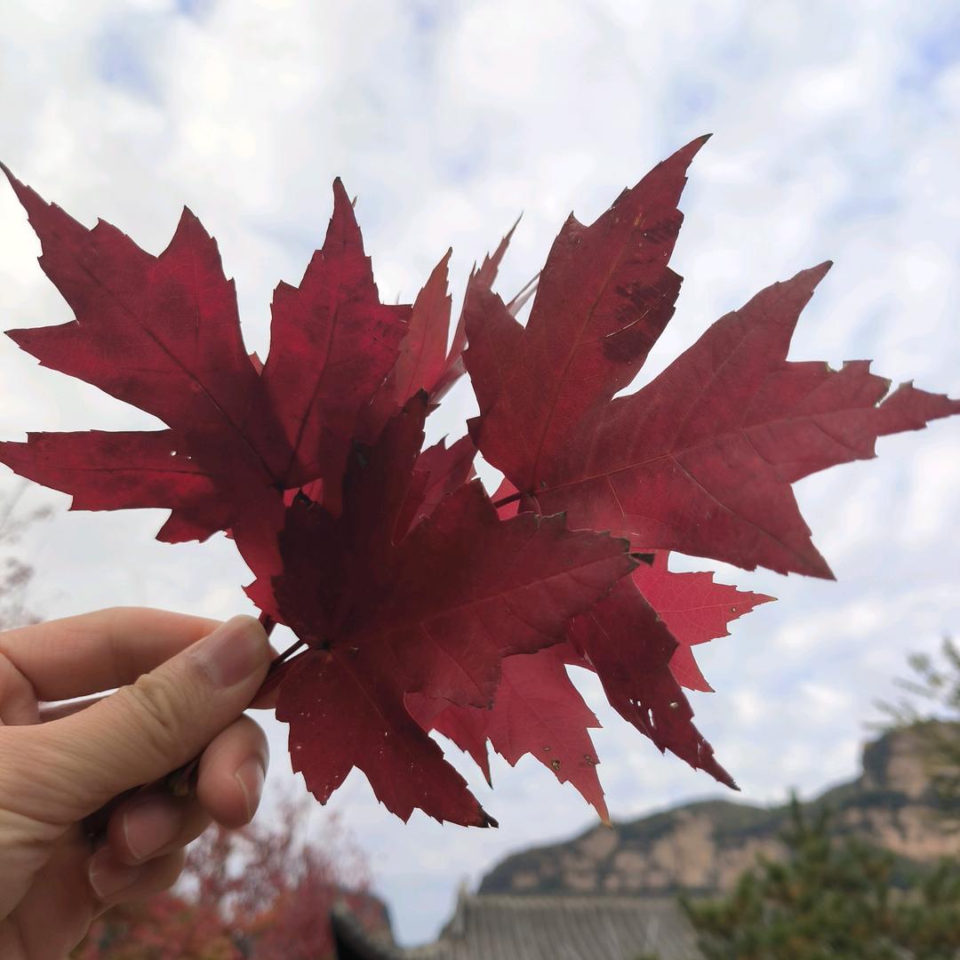 这就是我的名字