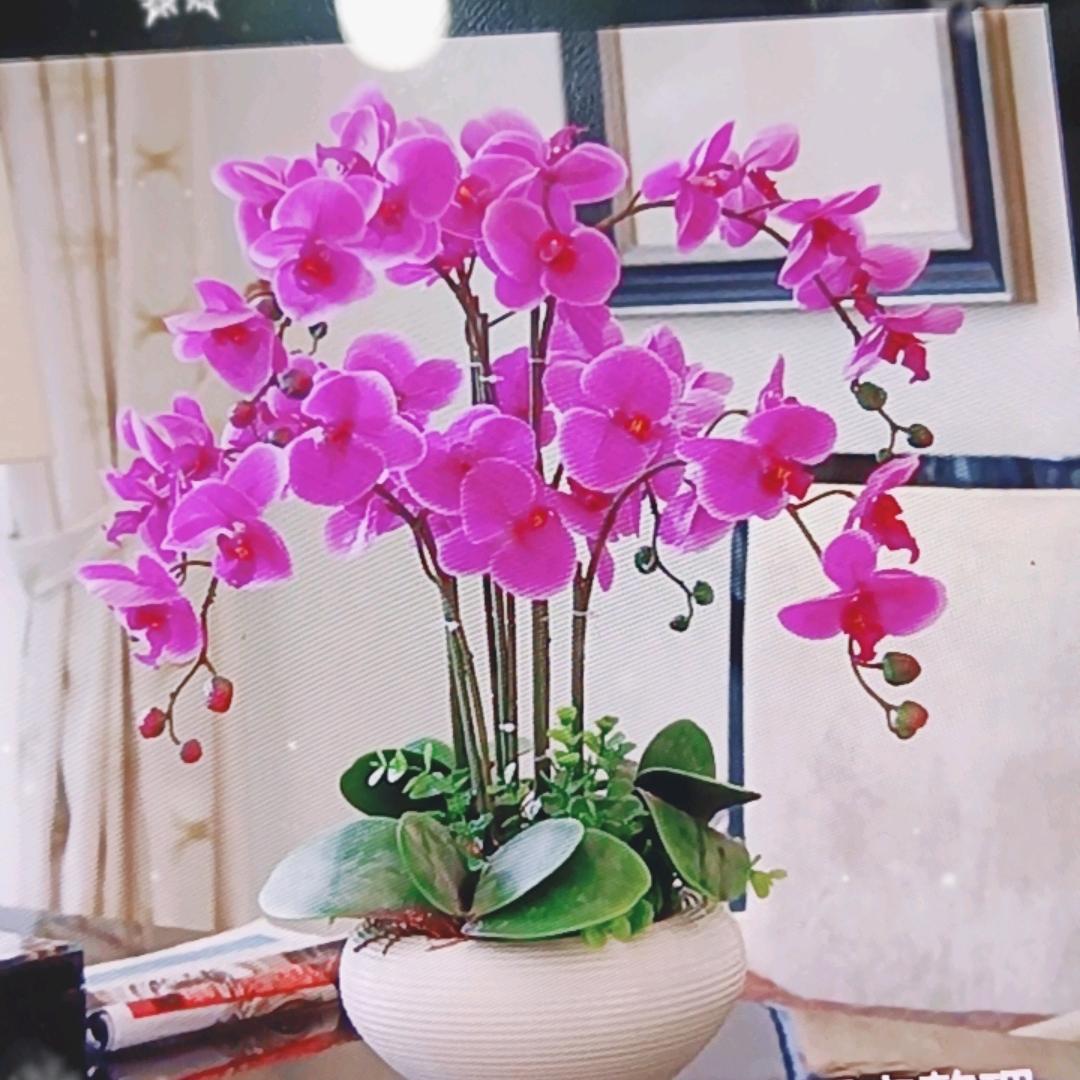 老薛