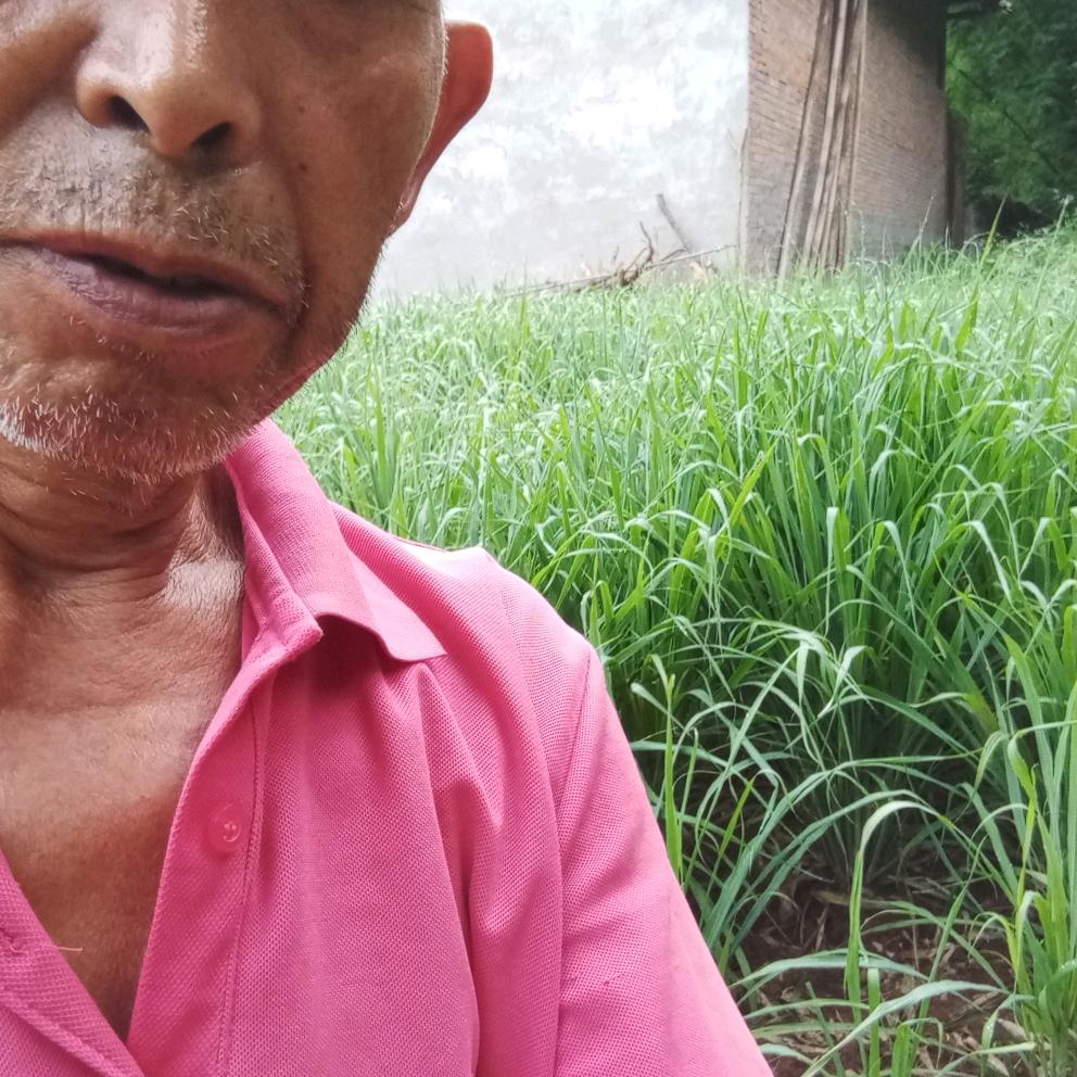 用户91863694