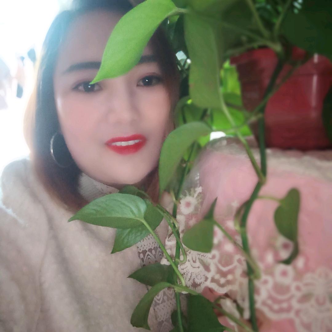 相识不过如此