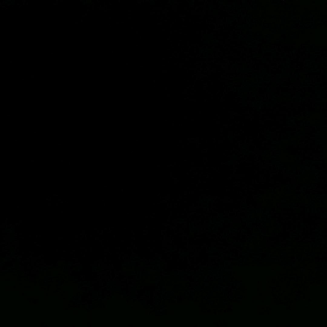 李先生和滕女士