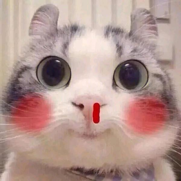 我丢，你在奶里下毒🤢