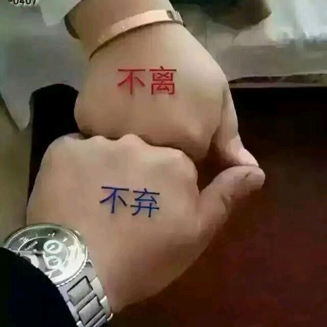 踏实的鸿光