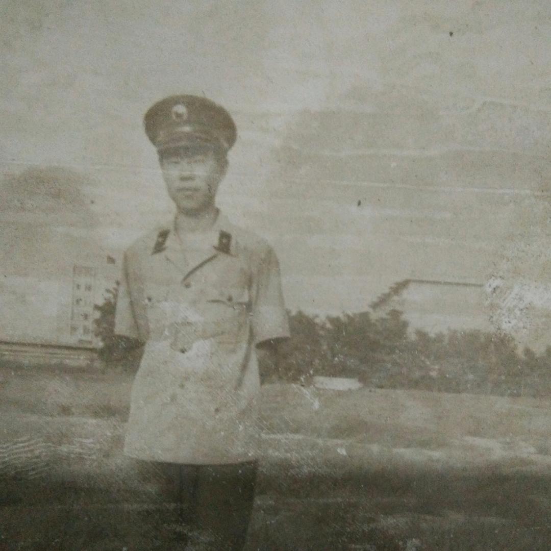 绿色芳华