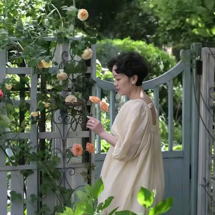 涵涵的甜