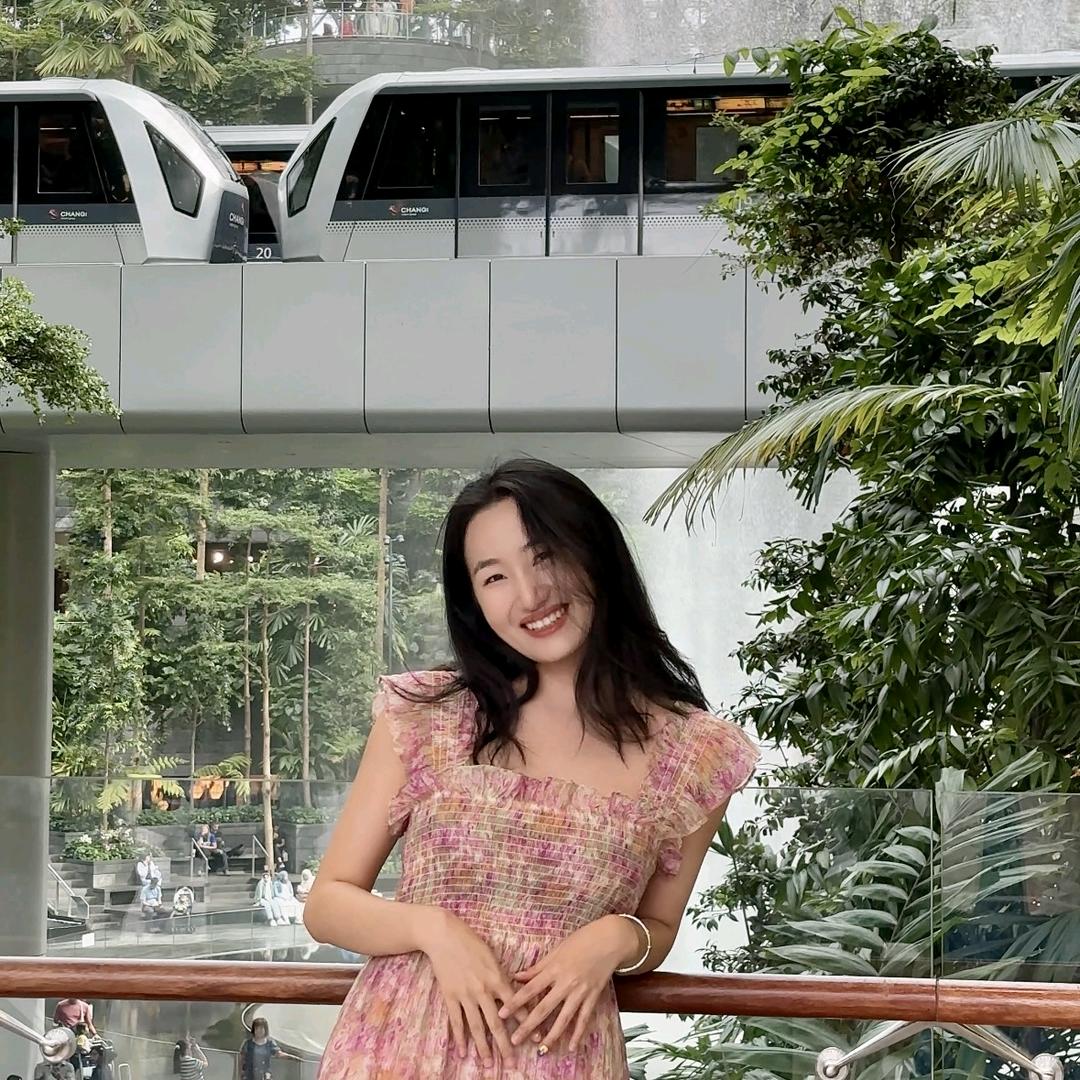 ดาวเหนือ