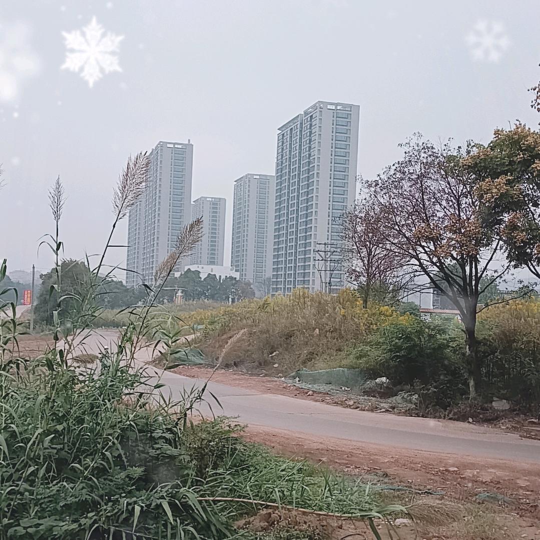 爱拼才会赢
