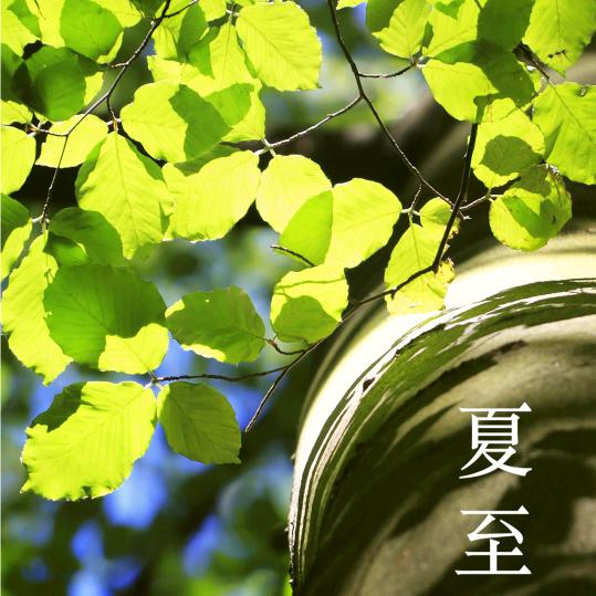 泥土的芳香🍓🍓🍀