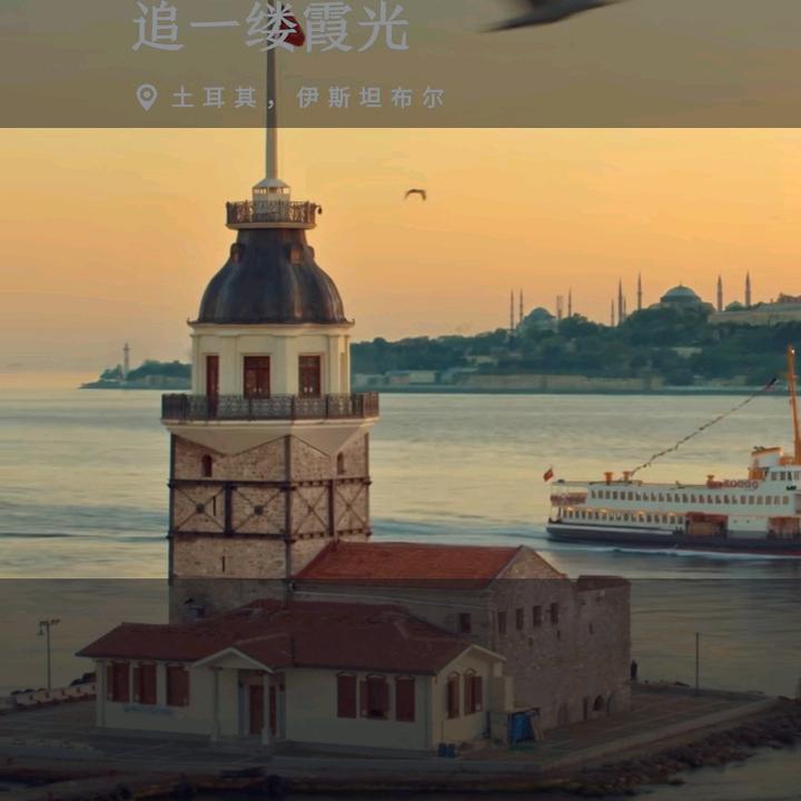 用户
