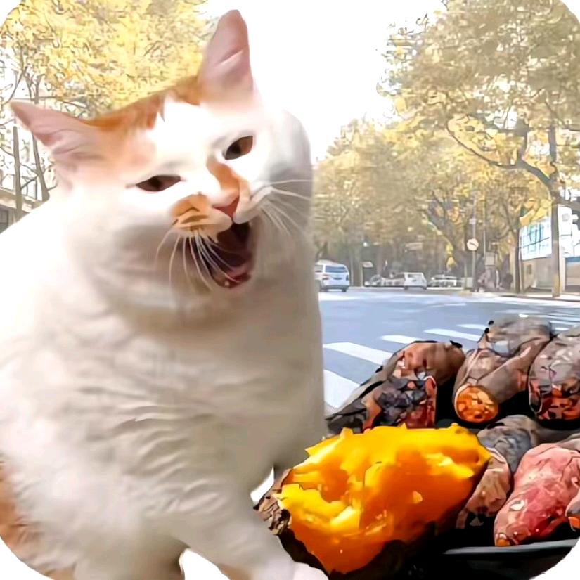 对方正在输入…