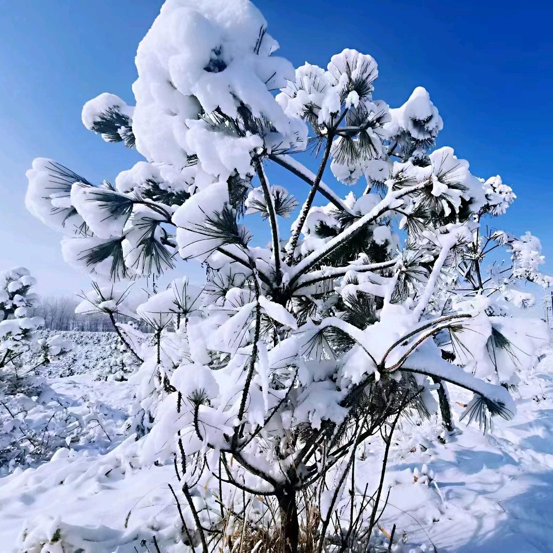 执着