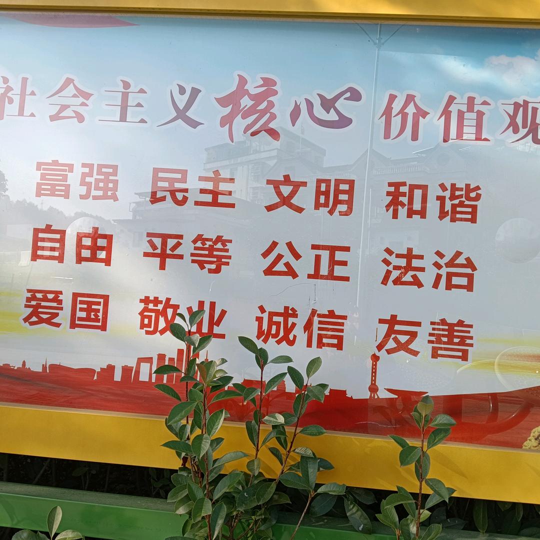 安庆大王