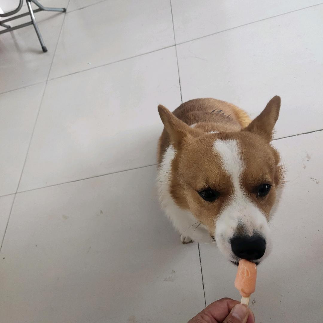 幸福快乐