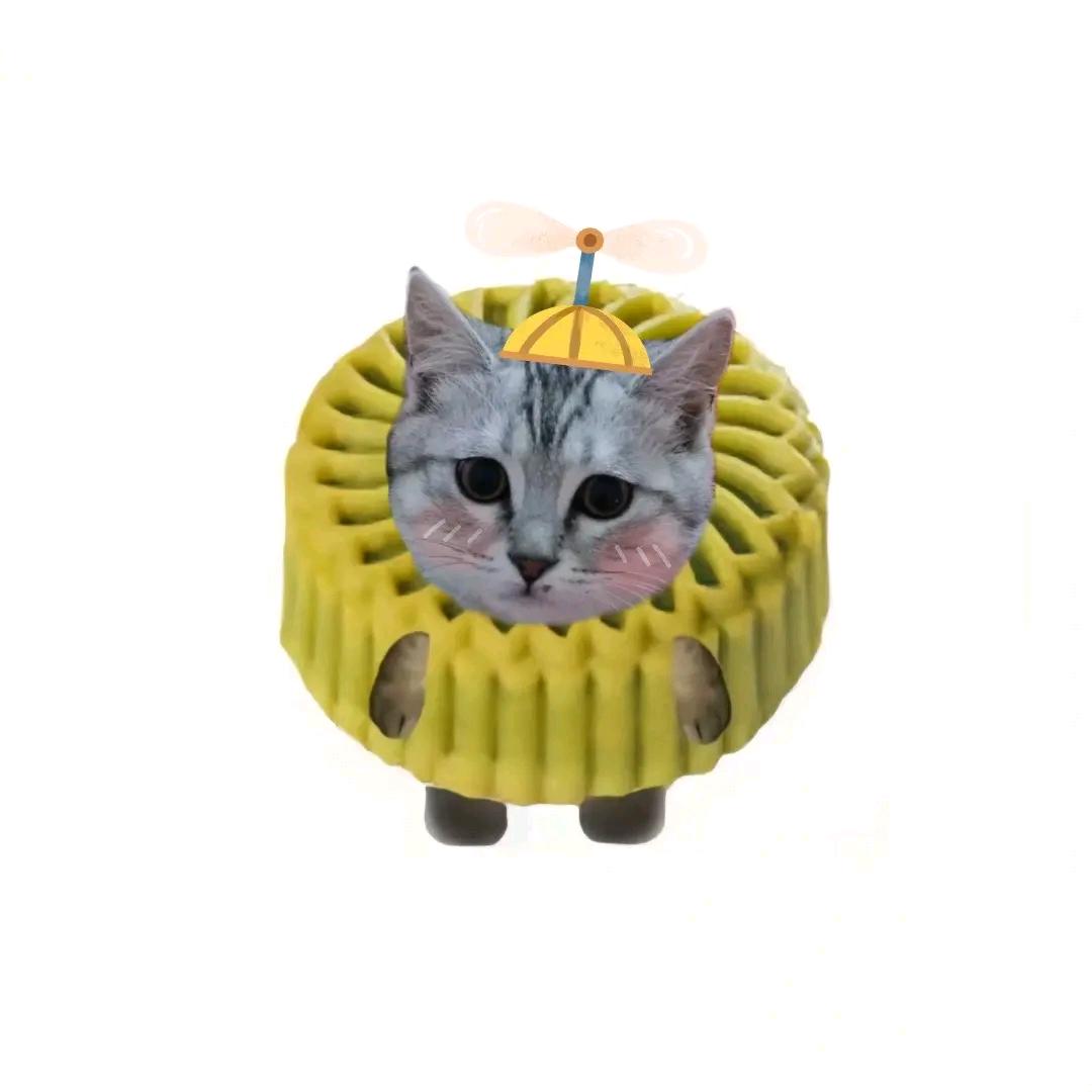 雾会散