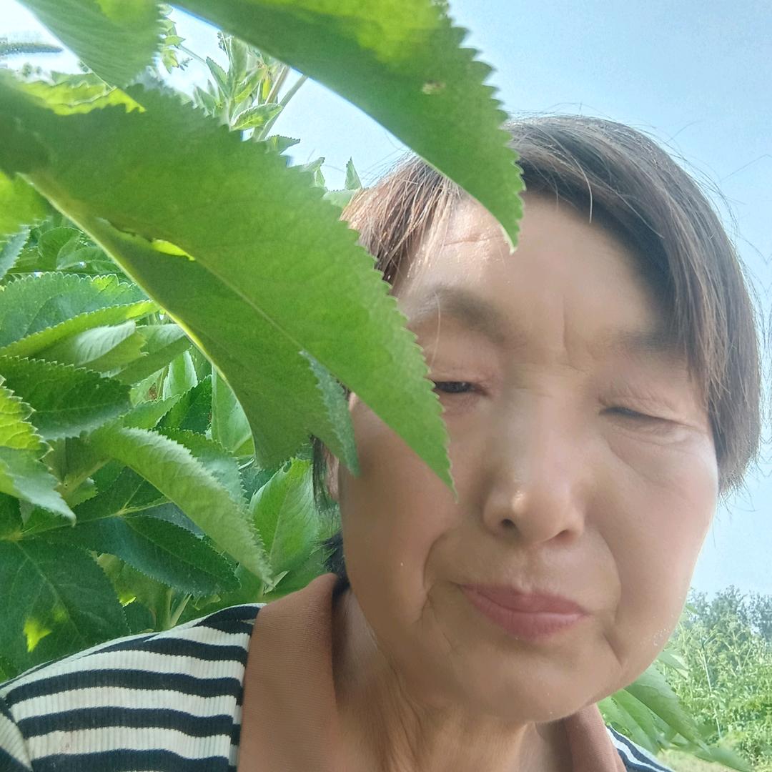 玲玲
