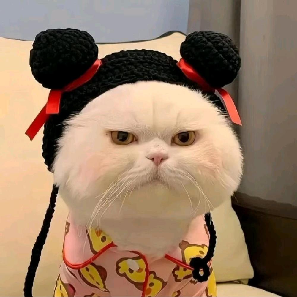 风音头像