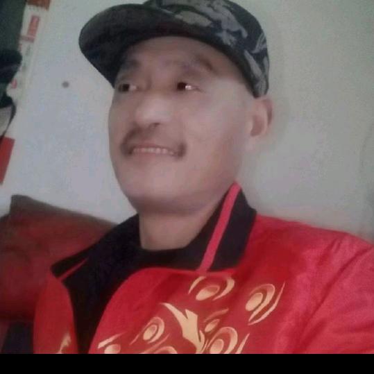 随意而安