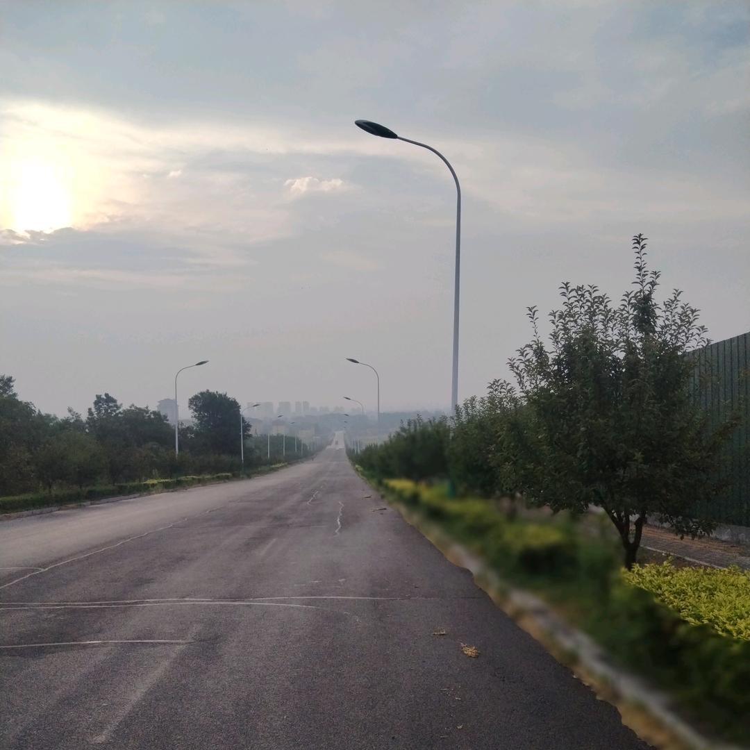 草塔猴🐵（梦幻西游端游）