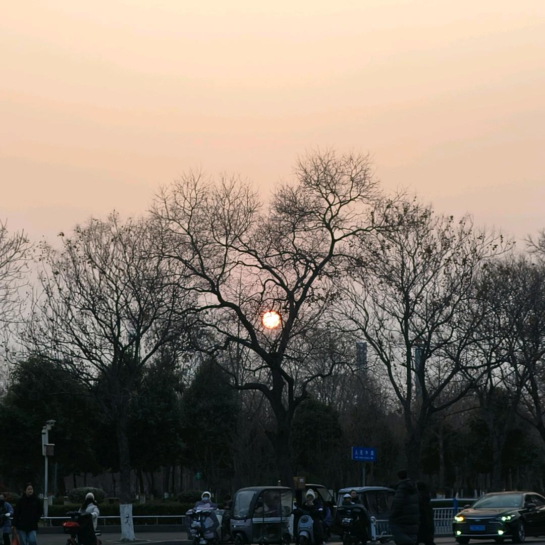 小宝特辣鸡斯哈