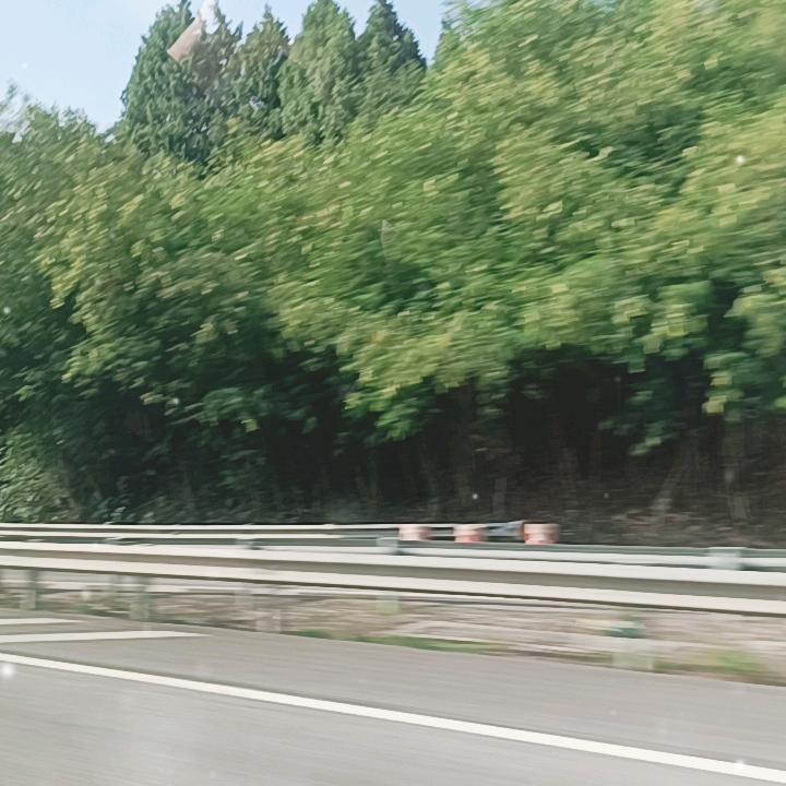 绛绛小兔