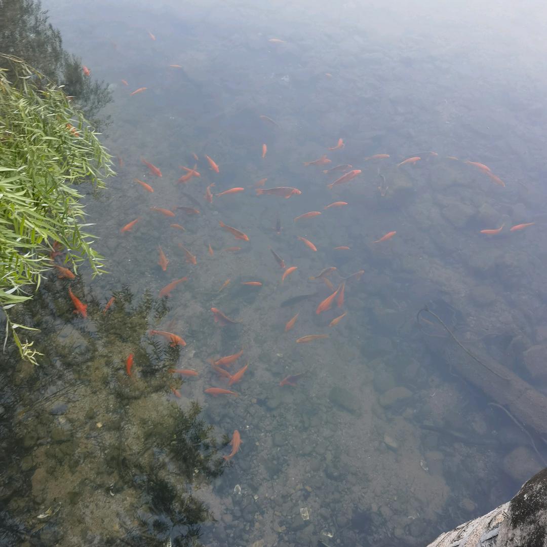 @陈198