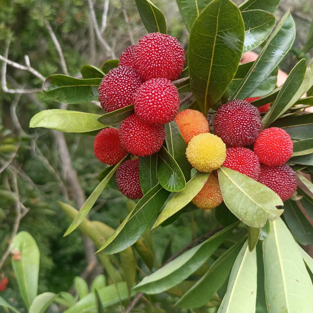 ꦿ࿐让心归零💞ཀྀꦿꦿꦿ