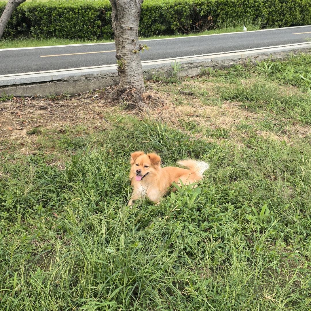 欲买桂花同载酒