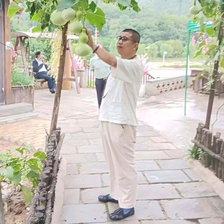 终南住山佬一子恒