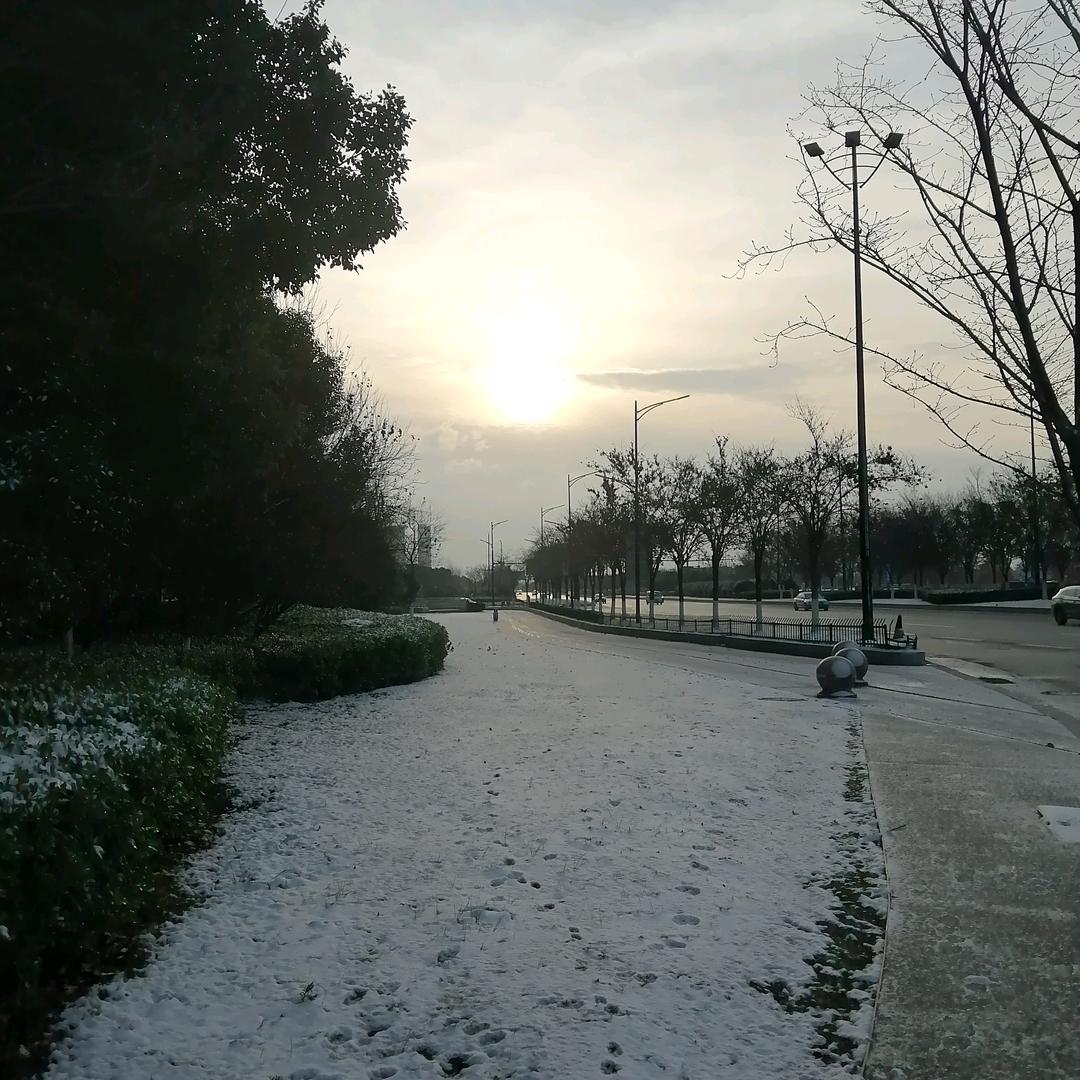 蠢驴跑刀网瘾大