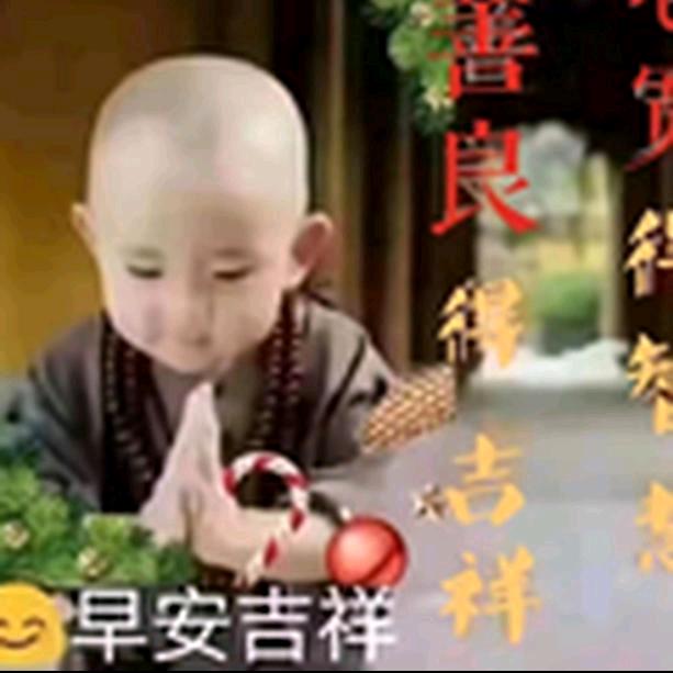 天天(上午9:16)