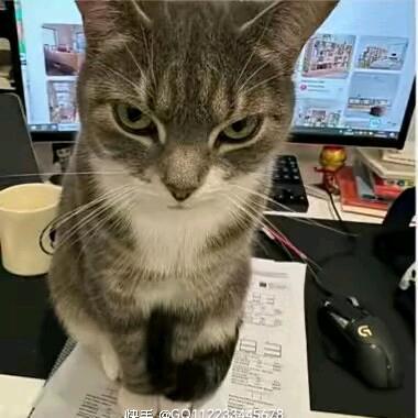 来一口乐吧.