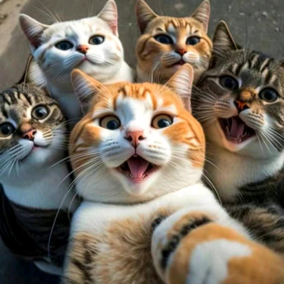 再见ろ、旧时光