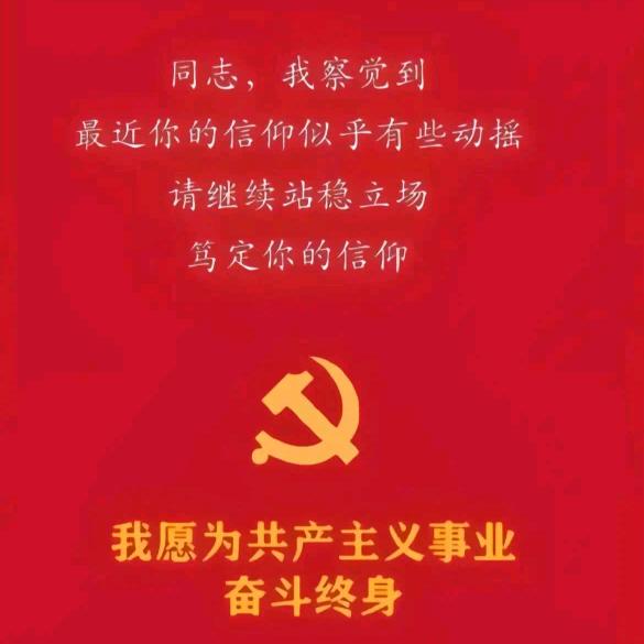 我是圆滚滚不是毛绒绒