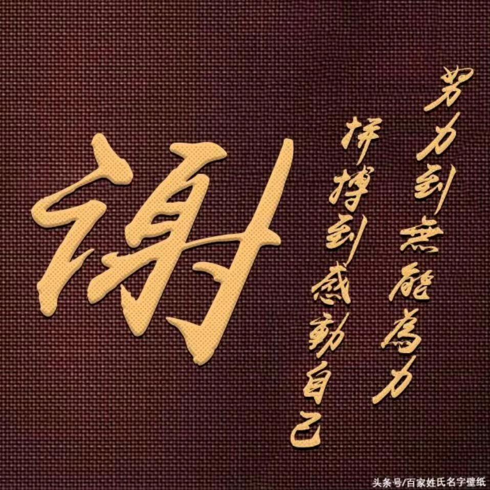 单身潮玩～小谢