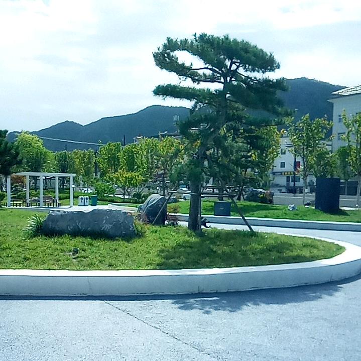 骆哥爱山歌