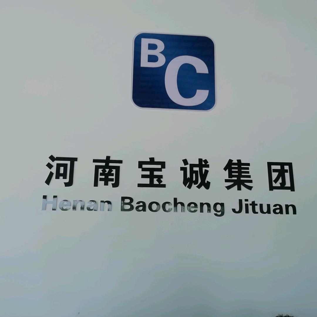 宝诚人力A
